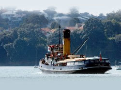 William C Daldy — Historic Steam Tug Charter — bedside view 8