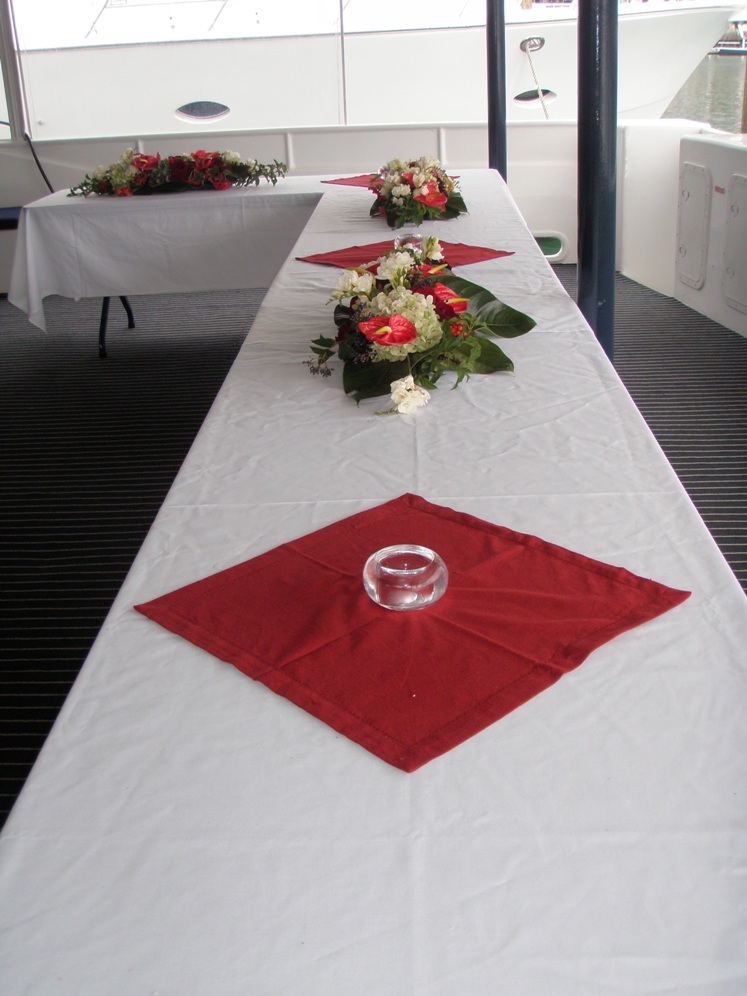 Olympic Spirit — 72ft Charter Catamaran — bedside view 7