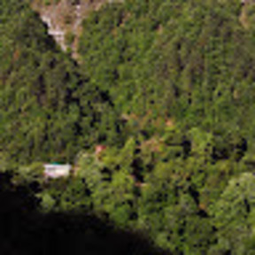 Seegreen L
